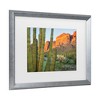 Trademark Fine Art - Alan Majchrowicz Organ Pipe Cactus National Monument Arizona Matted Framed Art - 3 of 4