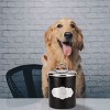 Amici Pet Cavalier Small Metal Canister Treats Jar, 40 oz. , Black w/ Silver Lid - 2 of 4