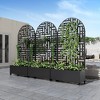 Dovelina Iron Black Arch Mobile Planters Planting Box Trellis for Climbing Plants - 2 of 4