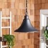 Graylyn Outdoor Pendant - Black - Safavieh. - image 3 of 3