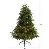 Nearly Natural 4-ft South Carolina Spruce Artificial Christmas Tree with 200 White Warm Lights and 848 Bendable Branches - 2 of 4