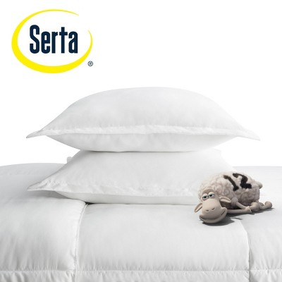 Blush Twin Microfiber Comforter and Sham Set