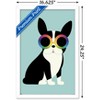 Trends International Andy Westface - Boston Terrier Work Hard Framed Wall Poster Prints - 3 of 4