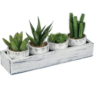 Sullivans Artificial Four Potted Cactus Succulent In Tray 4