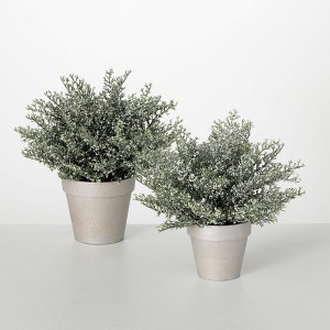 10.5"H & 12.5"H Sullivans Artificial Christmas Potted White Bubble Cedar Set of 2, Green, Indoor Christmas Decor - 1 of 4