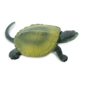 Collectible Wildlife Gifts | Turtle, Japanese Pond Turtle, Terrapin, Hand Painted, Rubber Reptile, Realistic Toy Model, Gift,   2 1/2"  CH247 BB123 - 1 of 4