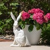 12.5" & 21" Sullivans Large Whitewashed Rabbits Set of 2  Gray - 3 of 3