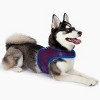 Doggie Design Active Mesh Dog Harness with Leash - Blue & Red - 4 of 4