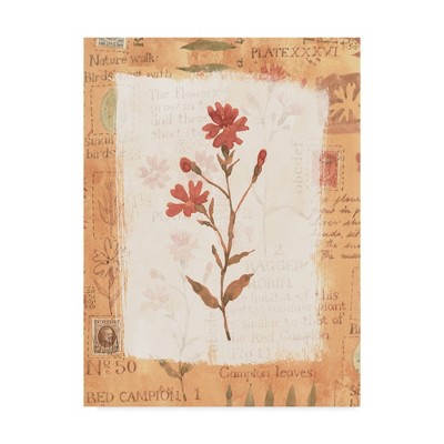 35" x 47" Red Flower Rustic by Hope Street Designs - Trademark Fine Art