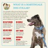 Country Brook Petz HossFit Jr Wide Martingale Dog Collar - Geek Chic Collection - 4 of 4