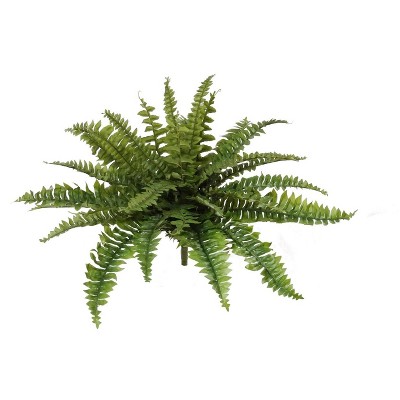 Floral Home 28" Boston Fern with 27 Fronds - 1-Piece