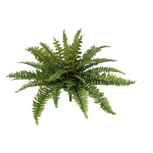 Floral Home 28" Boston Fern with 27 Fronds - 1-Piece - 1 of 4