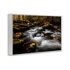 Stupell Industries Fallen Leaves on Stream Framed Giclee Art - 2 of 4