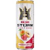 Reign Storm, Strawberry Apricot, Fitness & Wellness Energy Drink - 12 Fl Oz (Pack of 12) - 4 of 4
