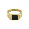 Slate by Rebl Agate Ring  18K Gold Plated Stainless Steel with Black Agate - 2 of 4