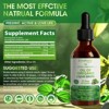GreenPeople Oregano Oil Liquid Drops - Herbal Blend for Immune Support, Digestive Health - Vegan, Sugar Free, Non-GMO - 2 Fl.Oz - 2 of 4