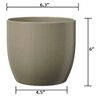 Tierra Garden 6.3" Matte Ceramic Basel Fashion Indoor Pot - image 2 of 4