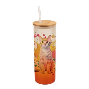 100 North 25 Ounce Frosted Glass Gradient Travel Tumbler With Straw & Wooden Lid, Tabby Cat Paint Splatter Orange - 1 of 4