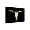 Trademark Fine Art -Phburchett  'Cow Skull' Canvas Art - 3 of 4