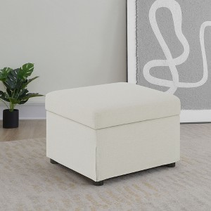 Airsurfer 20-inch Beige Ottoman Contemporary Storage Ottoman Space-Saving Furniture for Living Room Organization - 1 of 4