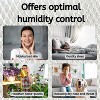 Nispira HWF100 Super Wick Humidifier Filter Replacement for Holmes Bionaire Sunbeam HM6000 HM6000RC HM6005 BCM7204 SCM7808 SCM7809, 1 Pack - 4 of 4