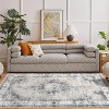 coucheta Multi-size Washable Vintage Medallion Area Rug, Stain-Resistant Non-Slip Traditional Low Pile Carpet, for Living Room, Bedroom, Dining Room - 4 of 4