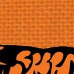 florida a&m rattlers