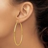 Black Bow Jewelry 2mm x 60mm 14k Yellow Gold Classic Round Hoop Earrings - 3 of 4