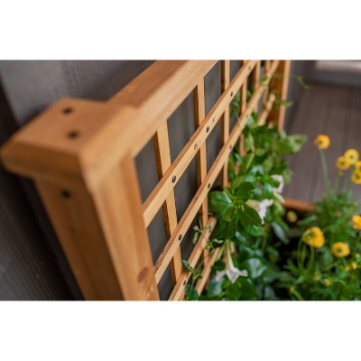 Golden Brown Cedar Wood Planter with Trellis