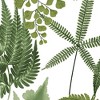 Midsummer Fern Lush White and Green Tropical Leaves Paste the Wall Wallpaper - 4 of 4