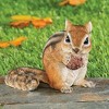 Collections Etc Hand-Painted Hungry Chipmunk Yard Figurine 5.5 X 4 X 3.75 Brown - 2 of 3