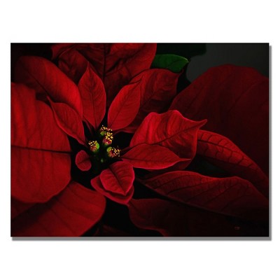 Trademark Fine Art -Lois Bryan 'Poinsettia' Canvas Art