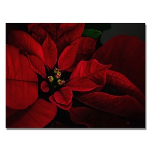 Trademark Fine Art -Lois Bryan 'Poinsettia' Canvas Art - 1 of 2