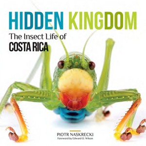 Hidden Kingdom - (Zona Tropical Publications) by  Piotr Naskrecki (Paperback) - 1 of 1
