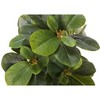 KTMBDW Small Fake Fiddle Leaf Fig Plant Set Of 2 - 14" Artificial Ficus Lyrata in White Pot for Home Decor Indoor Table Office Bathroom Shelf - 3 of 4
