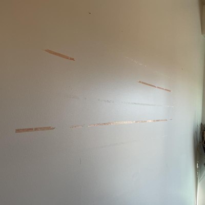 Guest review image 1 of 1, zoom in