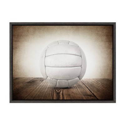 18" x 24" Sylvie Vintage Volleyball Framed Canvas by Shawn St. Peter Gray - DesignOvation