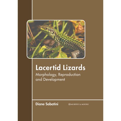 Lacertid Lizards: Morphology, Reproduction and Development - by  Diane Sabatini (Hardcover)