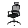 Ridstar Ergonomic Office Chair with Lumbar Support and Adjustable Headrest-Black - 2 of 4