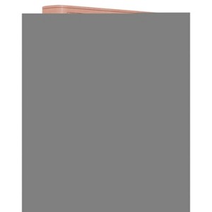 ESV Value Large Print Compact Bible (Trutone, Blush Rose, Fleur-De-Lis Design) - by  Esv Bibles (Leather Bound) - 1 of 1