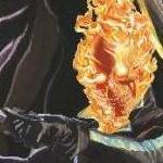 clear push pins bundle