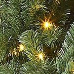 with lights