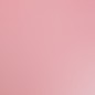 pink flower