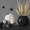 6" Medium Skull Halloween Decorative Prop - Hyde and EEK! Boutique™ - 2 of 3