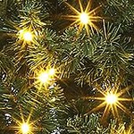 green_unlit fat tree