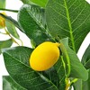 Gulches Mediterranean 31 in H Artificial Lemon Tree in Black Plastic Pot Yellow Green Black 1 Pack - 4 of 4