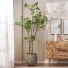 Gulches 240CM Artificial Pieris Tree - No-Watering Faux Plant with Lush Greenery & Fresh Aesthetics, Low Maintenance Indoor Decor for Home Office - 3 of 4