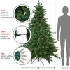 Northlight Real Touch™️Pre-Lit Full Minnesota Balsam Fir Artificial Christmas Tree - 6.5' - Warm White LED - 4 of 4