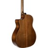 Cort CORE-GA Solid Blackwood Grand Auditorium Acoustic-Electric Guitar Light Burst - 2 of 4