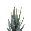 Unique Bargains Artificial Plants Mini Aloe-Vera in Pulp Plastic 2.76"x2.76"x5.51" 1 Pc - 4 of 4